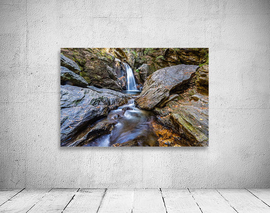 Forest Waterfalls Mossy Rock Dance Wall Preview