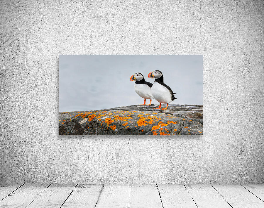 PARTNERS Wall Preview