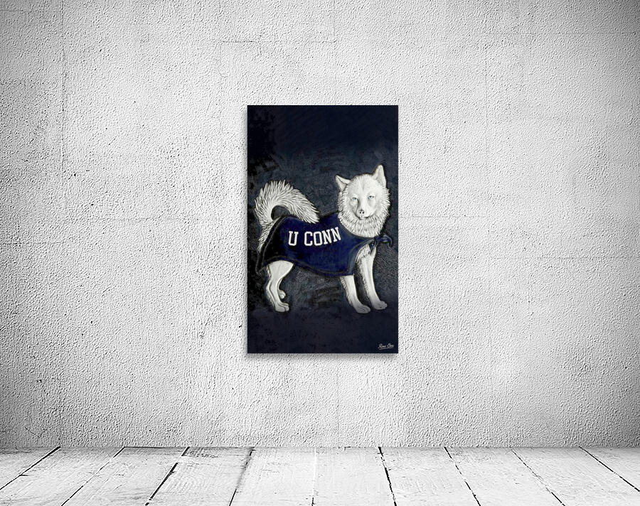 Vintage 1950s Connecticut Huskies Art Wall Preview