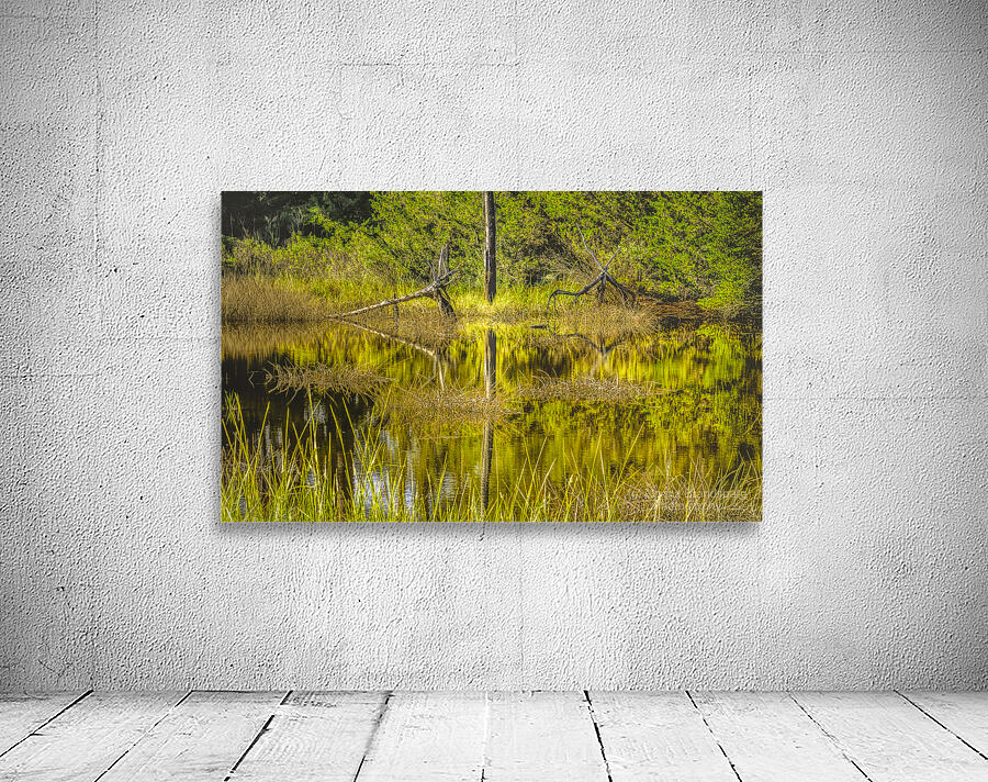 Southern Marsh Mirrored Reflections Wall Preview