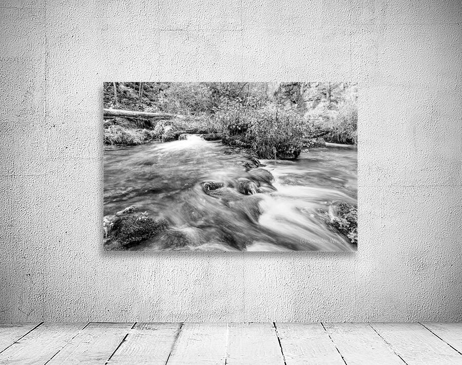 Autumn Cascades At Ozarks Greer Spring Grayscale Wall Preview