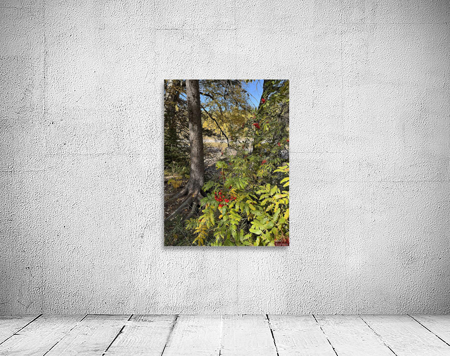 IMG 4378 landscape with colors Wall Preview