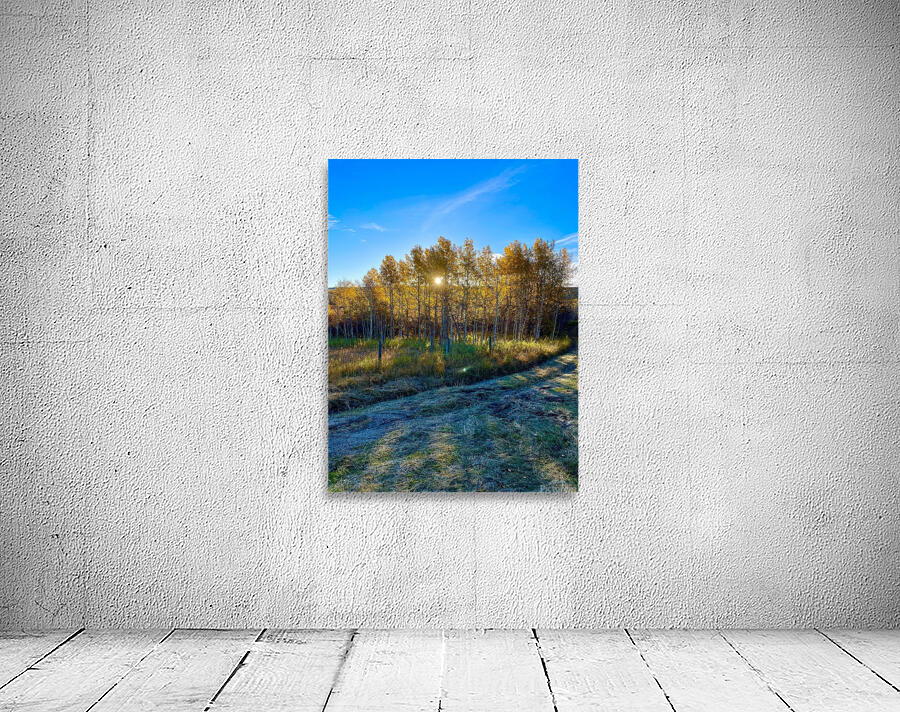 IMG 2246 cool colors in this landscape Wall Preview