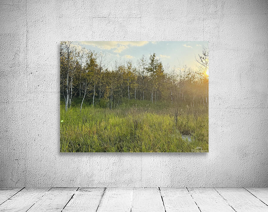 IMG 4250 Orange sun going down in the trees Wall Preview