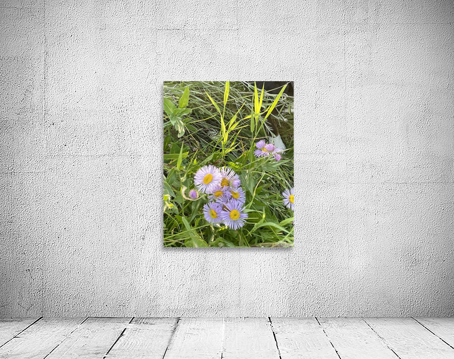 IMG 1924 wild flowers in the mountains Wall Preview