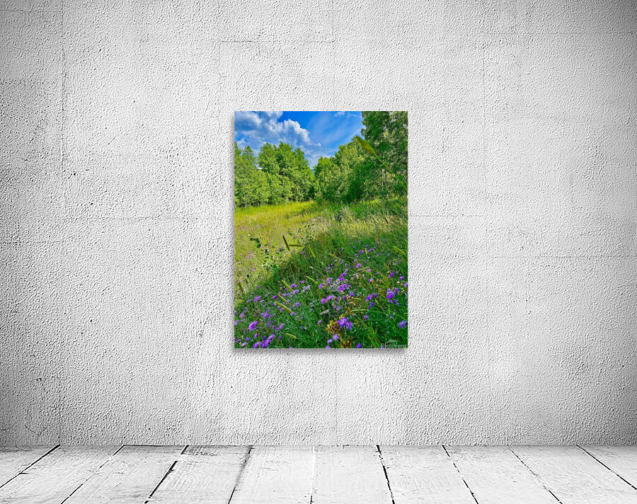 IMG 4039 Green grass purple flowers blue sky Wall Preview