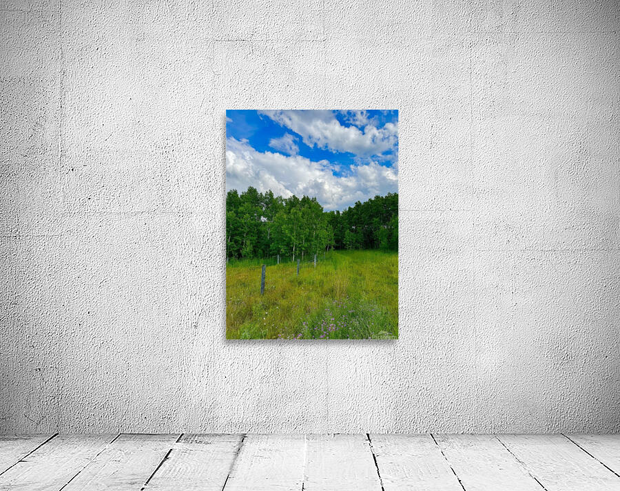 IMG 4041 wildflowers and Aspen trees Wall Preview