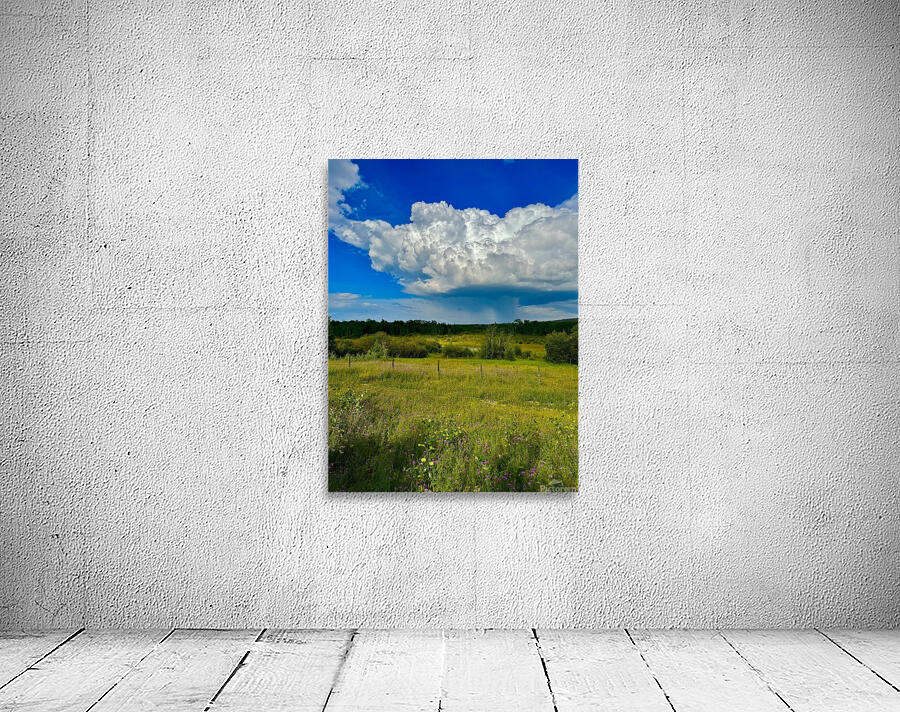 IMG 4040.blue sky and green  Wall Preview