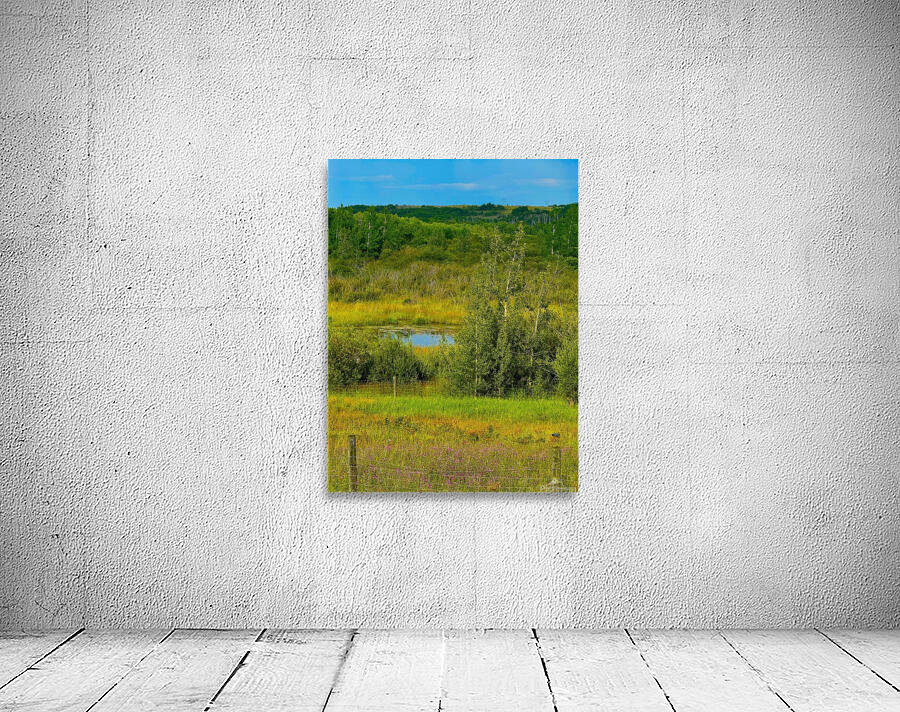 IMG 4042 high mountain pond Wall Preview