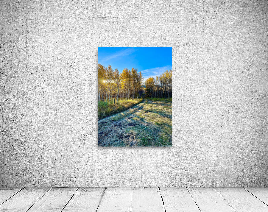 IMG 2247  Beautiful fall day Wall Preview