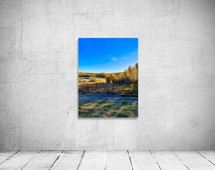 IMG 2245 Beautiful scene in the mountains Wall Preview