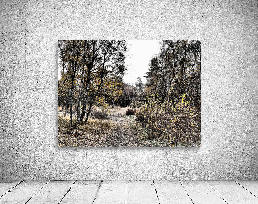  Scottish Highlands Autumnal Nature Trail                                                                                                                     Wall Preview