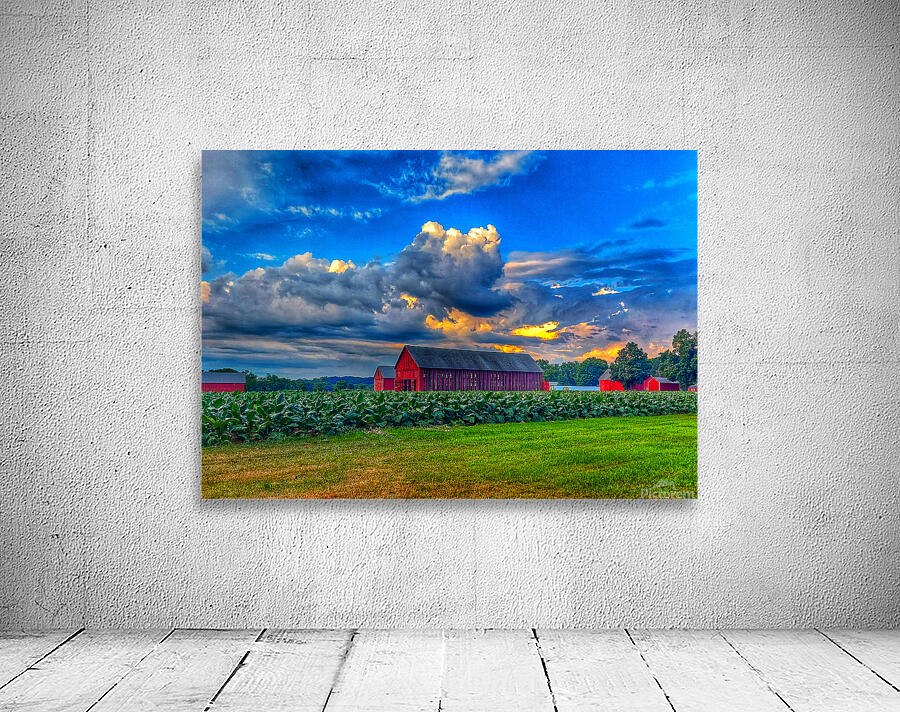 09 Summer Card Wall Preview