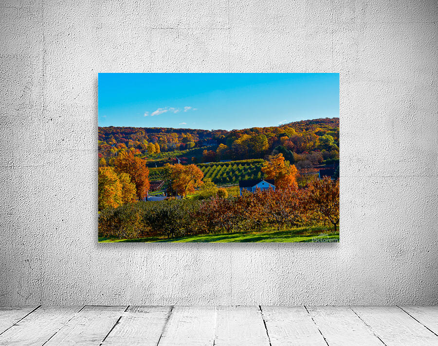 04 Autumn Card Wall Preview