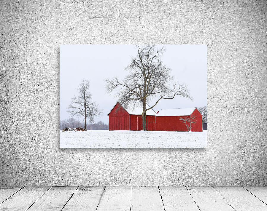 11 Winter Card Wall Preview