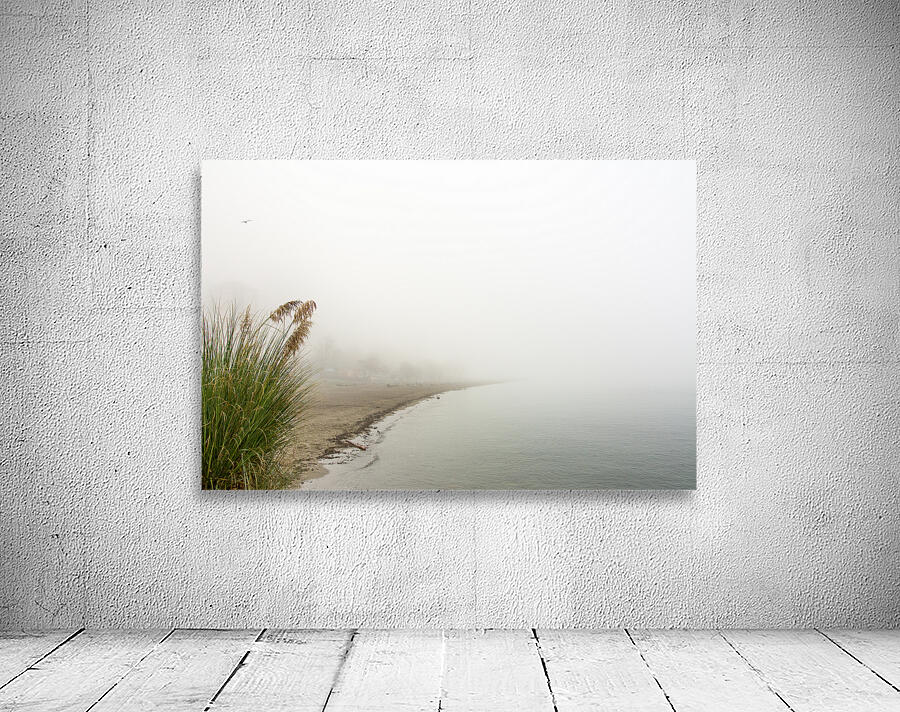 Fog Carved Crescent Wall Preview