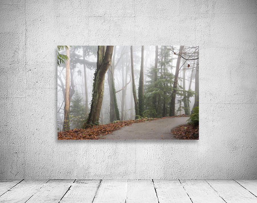 Passage Wall Preview