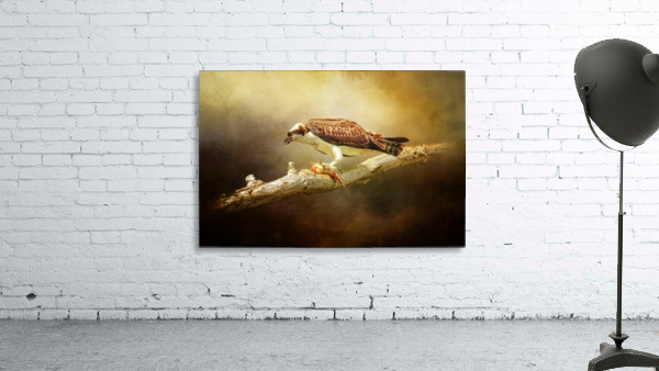 Lunch Time Wall Preview