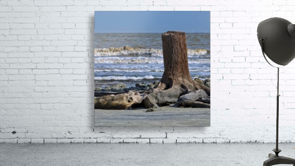 Driftwood Beach Post Wall Preview