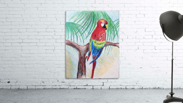 Papagal by Jason Allen Greig Wall Art