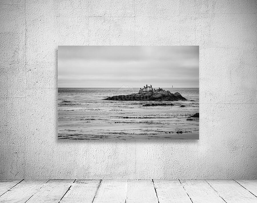 Monterey Peninsula 1399 Wall Preview