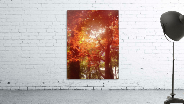Autumn Leaves by C  McGowen