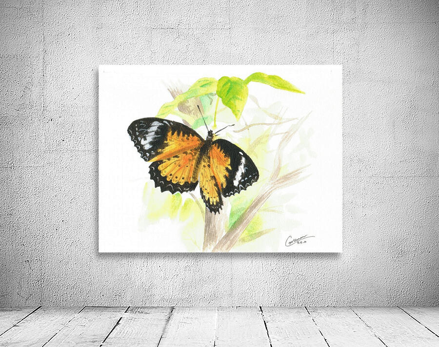 Butterfly by C  McGowen