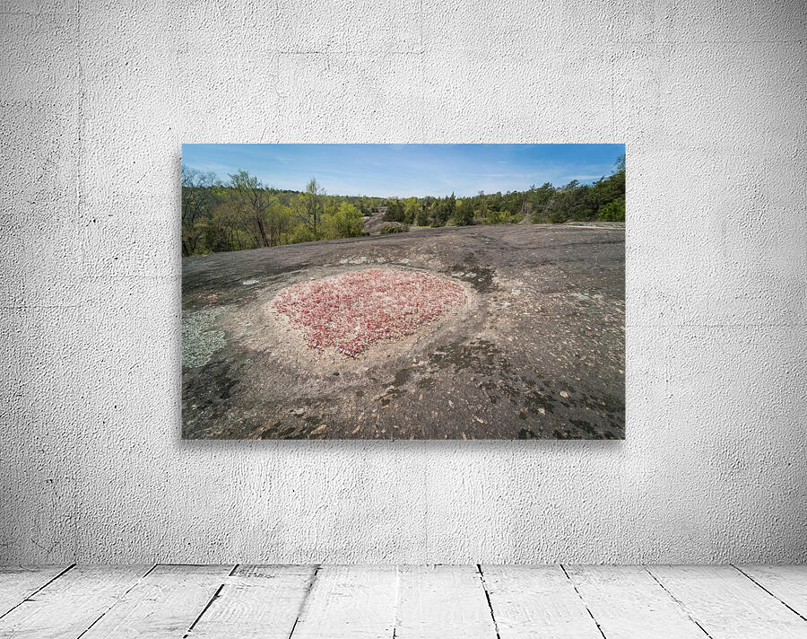 Heggies Rock Preserve in Columbia County GA 3543 by Sanjeev Singhal