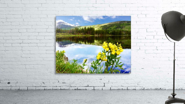 Flowers by the Bear Lake by C  McGowen