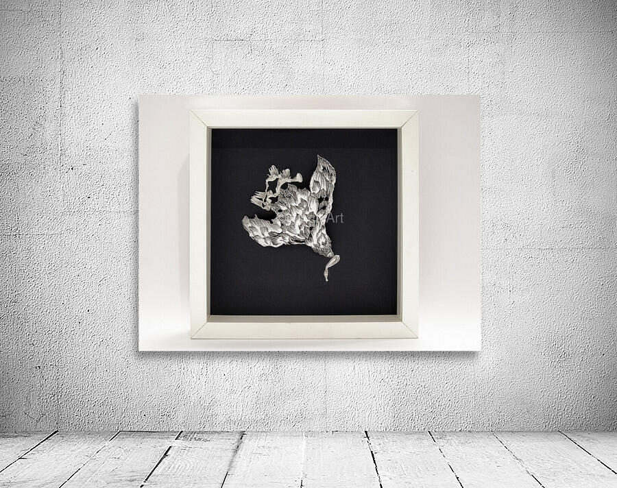 half of freedom Wall Preview