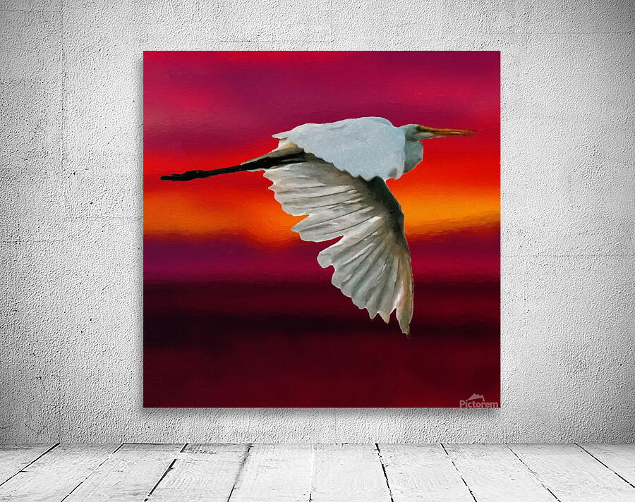Egret in sunset by Jacqueline Sleter
