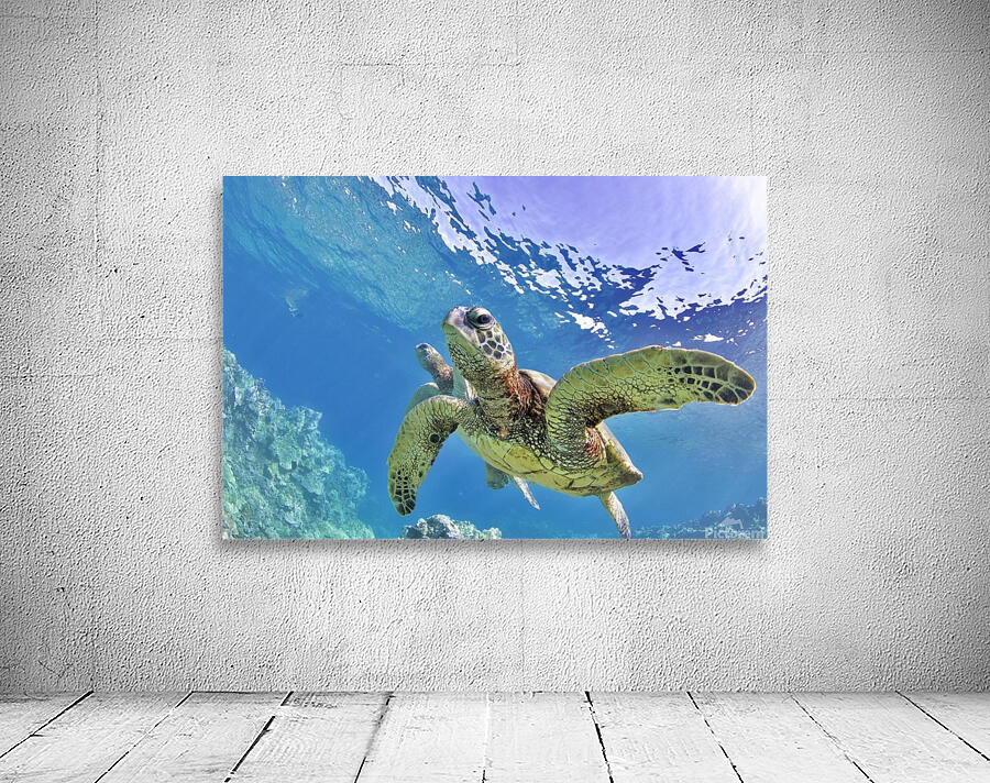 Blue world  Wall Preview