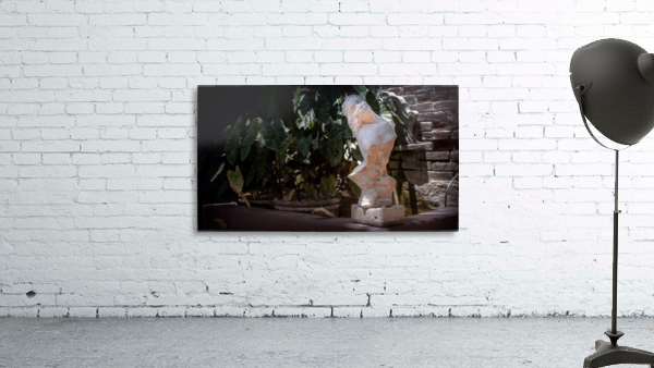 Bust at the Hotel California Wall Preview