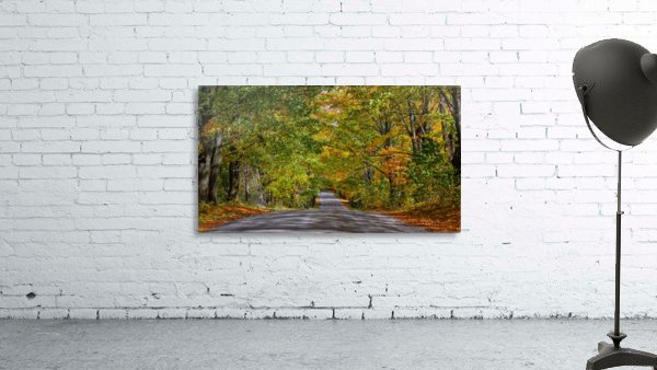 Fall Colors over a Country Road Wall Preview
