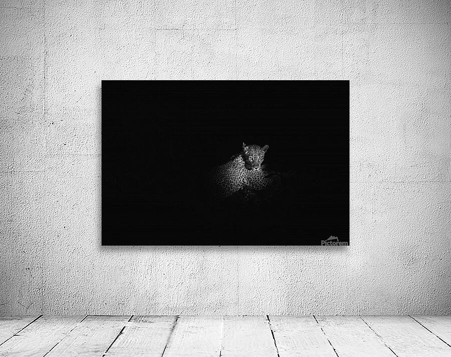 Leopard 2 Wall Preview