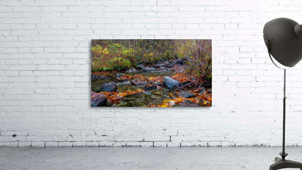 Fall Stream  Wall Preview