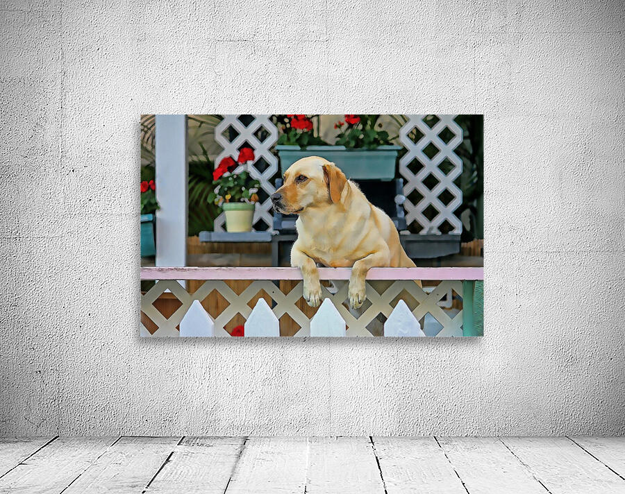 People Watching Wall Preview