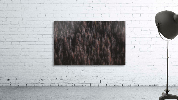 Red forest Wall Preview