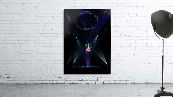 Cirque Le Noir Aerial Ring with Oil Wall Preview