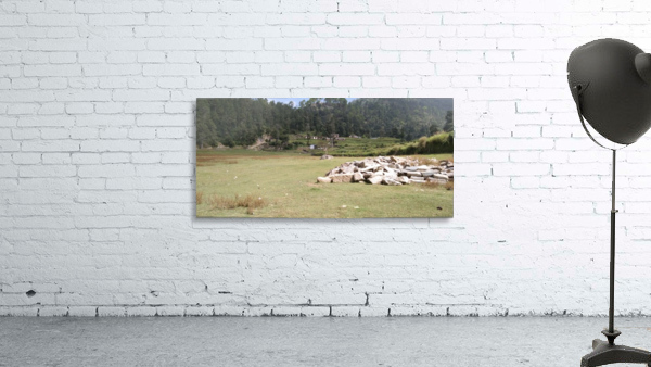 IMG_20200912_104527 Wall Preview