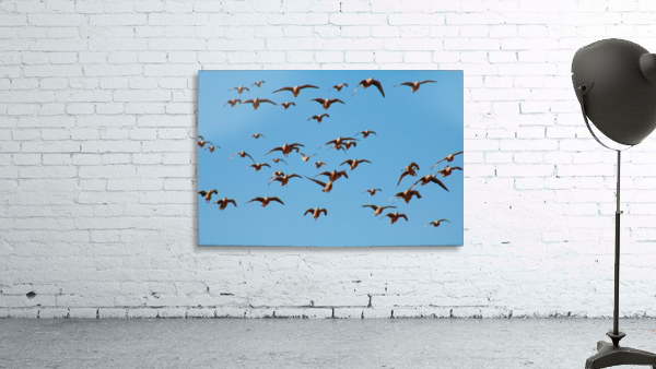 AdriaanPrinsloo 4488 Wall Preview