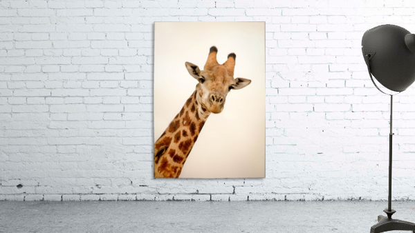 AdriaanPrinsloo 5035 Wall Preview