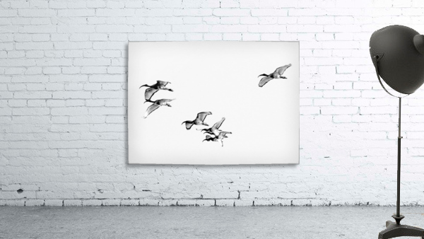 AdriaanPrinsloo 13001 Wall Preview