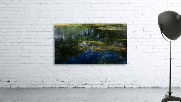 Monet style 3 by Daniel Thibault artiste-photographe
