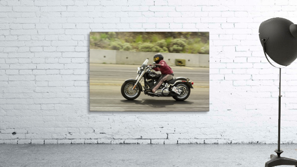 Hot Harley Wall Preview