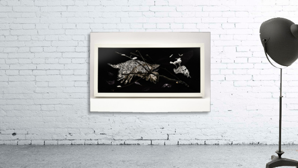 Birdofprey2 Wall Preview