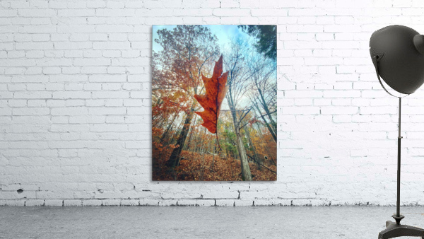 Falling Up Wall Preview