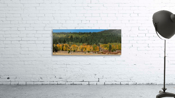 Golden Tree Line Wall Preview