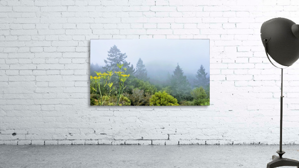 Foggy Mountaintop by LARose Photographs
