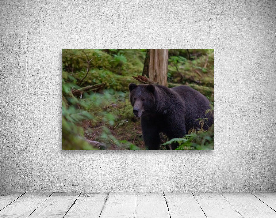 Close Encounter Wall Preview